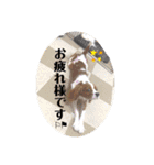 ちゃちゃまるの挨拶スタンプ（個別スタンプ：20）
