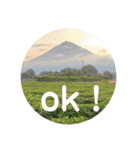 富士山パート5（個別スタンプ：1）