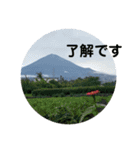 富士山パート5（個別スタンプ：3）