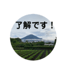 富士山パート5（個別スタンプ：4）