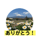 富士山パート5（個別スタンプ：5）