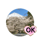 富士山パート5（個別スタンプ：6）