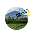 富士山パート5（個別スタンプ：8）