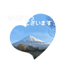 富士山パート5（個別スタンプ：17）