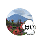 富士山パート5（個別スタンプ：18）