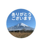 富士山パート5（個別スタンプ：21）