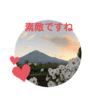 富士山パート5（個別スタンプ：24）