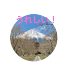 富士山パート5（個別スタンプ：28）