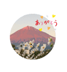 富士山パート5（個別スタンプ：30）