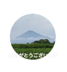 富士山パート5（個別スタンプ：31）