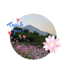 富士山パート5（個別スタンプ：32）