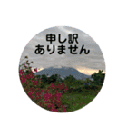富士山パート5（個別スタンプ：34）