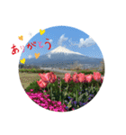 富士山パート5（個別スタンプ：36）
