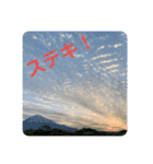 富士山パート5（個別スタンプ：37）