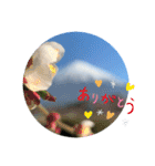 富士山パート5（個別スタンプ：38）