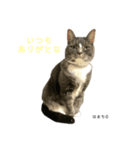 はまち君（個別スタンプ：1）
