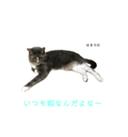 はまち君（個別スタンプ：4）