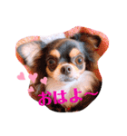coco❤︎momo②（個別スタンプ：2）