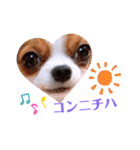 coco❤︎momo②（個別スタンプ：3）