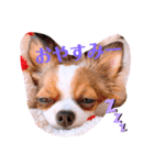 coco❤︎momo②（個別スタンプ：5）
