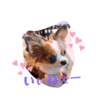 coco❤︎momo②（個別スタンプ：7）