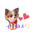 coco❤︎momo②（個別スタンプ：8）