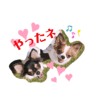 coco❤︎momo②（個別スタンプ：10）