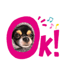 coco❤︎momo②（個別スタンプ：11）