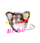 coco❤︎momo②（個別スタンプ：14）