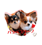 coco❤︎momo②（個別スタンプ：15）