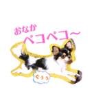 coco❤︎momo②（個別スタンプ：16）