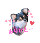 coco❤︎momo②（個別スタンプ：19）
