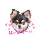coco❤︎momo②（個別スタンプ：20）