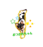 coco❤︎momo②（個別スタンプ：21）