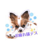 coco❤︎momo②（個別スタンプ：22）