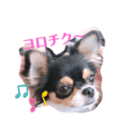 coco❤︎momo②（個別スタンプ：23）