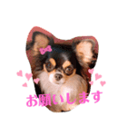 coco❤︎momo②（個別スタンプ：24）