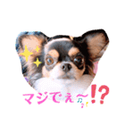 coco❤︎momo②（個別スタンプ：25）