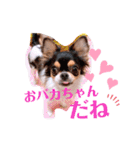 coco❤︎momo②（個別スタンプ：30）