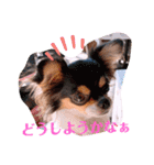 coco❤︎momo②（個別スタンプ：31）