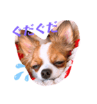 coco❤︎momo②（個別スタンプ：32）