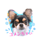 coco❤︎momo②（個別スタンプ：37）