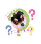 coco❤︎momo②（個別スタンプ：38）