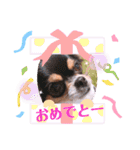 coco❤︎momo②（個別スタンプ：39）