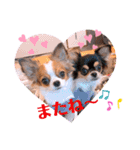 coco❤︎momo②（個別スタンプ：40）