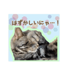 PONTIESスタンプ（個別スタンプ：21）