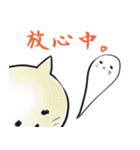 しろふわ猫（個別スタンプ：25）