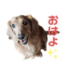 さくつくちゃちゃ♡（個別スタンプ：4）