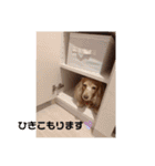 さくつくちゃちゃ♡（個別スタンプ：10）