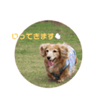 さくつくちゃちゃ♡（個別スタンプ：16）